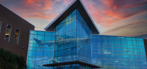 Photo of the new entrance to the John C Hitt Library with a bright pink and purple sky and an aquarium in place of the normal glass walls