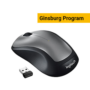 Ginsburg Logitech Wireless Mouse