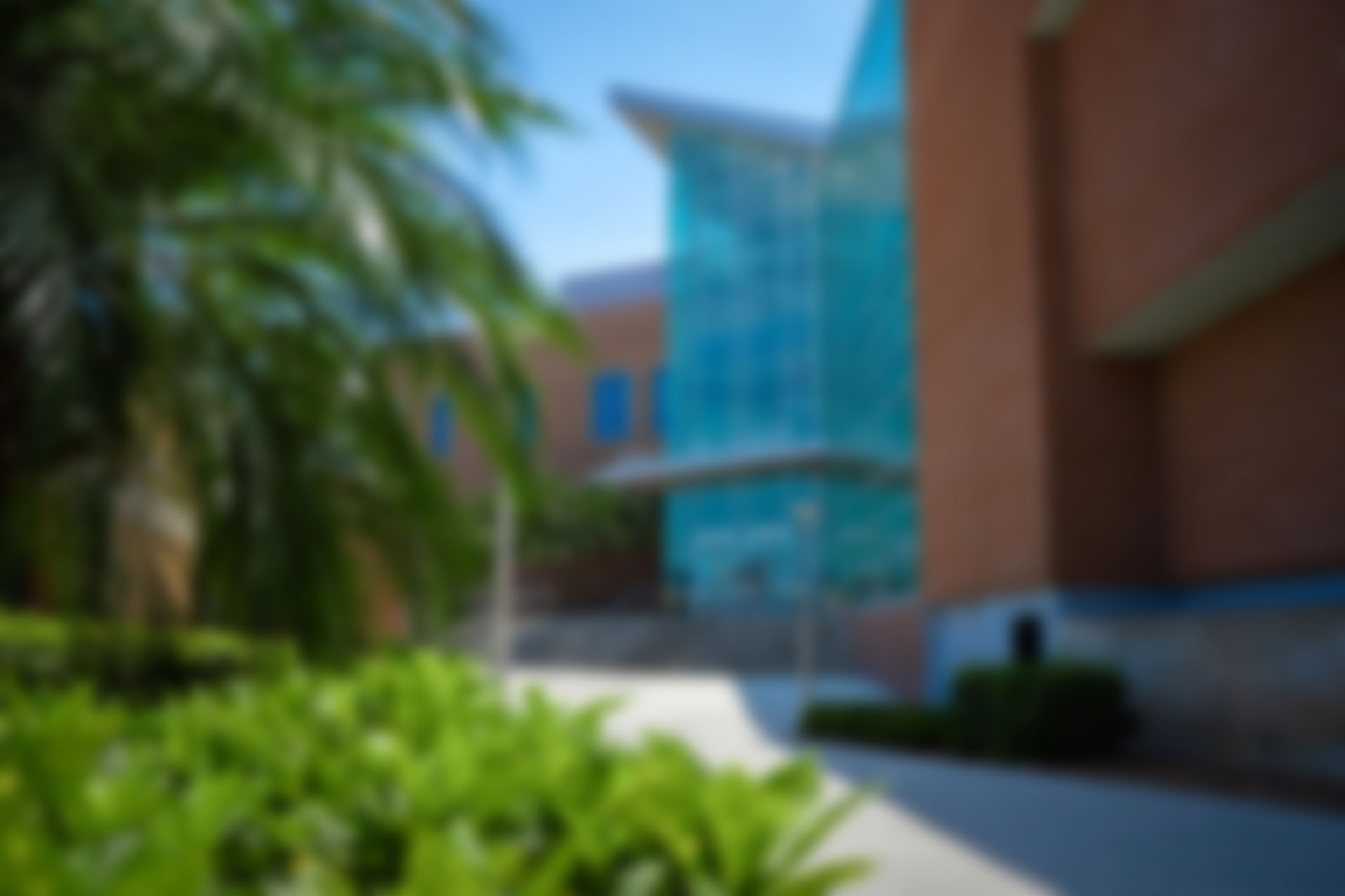 Curriculum Materials Center Library (CMC),University of Central Florida